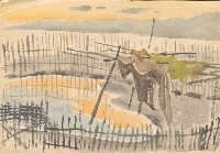 藏品(像淡水河邊)的圖片