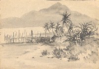 藏品(像淡水河邊)的圖片