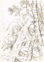 藏品(松樹 溪流)的圖片