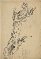 藏品((1)樹幹;(2)樹幹)的圖片