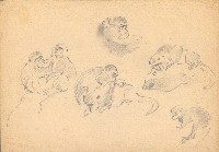 藏品((1)猴子各種型態;(2)斑鳩各種型態)的圖片