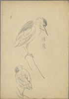 藏品((1)水鳥夜鷺(搔癢);(2)水鳥夜鷺)的圖片