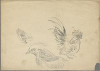 藏品((1)鷹、錦雞及日本矮雞;(2)錦雞)的圖片