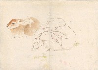 藏品(兔(三隻))的圖片