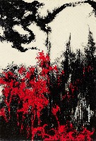 藏品(澹)的圖片