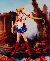 藏品(美少女戰士)的圖片