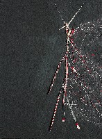 藏品(網路(二))的圖片