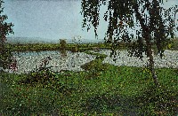 藏品(柳畦春曉)的圖片