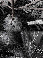 藏品(沙中房間)的圖片