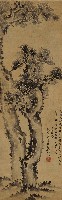 藏品(雙松圖)的圖片
