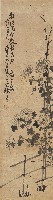 藏品(籬菊圖)的圖片