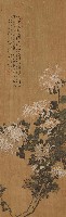 藏品(撫南田粉本菊花)的圖片