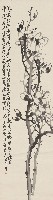 藏品(玉蘭)的圖片