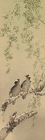 藏品(春柳九官鳥)的圖片