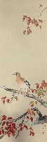 藏品(秋葉橿鳥)的圖片