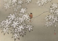 藏品(淡雪)的圖片