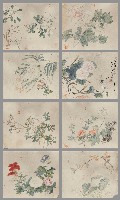 藏品(花卉冊八開)的圖片