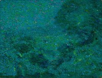 藏品(風景)的圖片