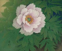 藏品(牡丹花)的圖片