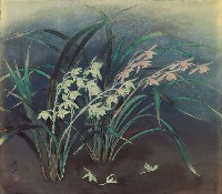 藏品(花)的圖片