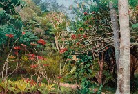 藏品(墾丁初春)的圖片