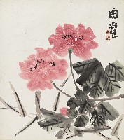 藏品(芙蓉花)的圖片