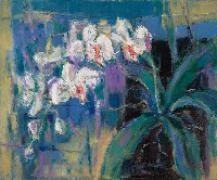 藏品(蝴蝶蘭)的圖片