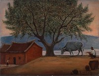 藏品(牛)的圖片