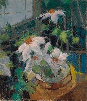 藏品(水楊花)的圖片