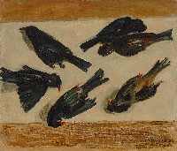 藏品(斑芝)的圖片