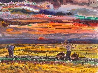 藏品(彩霞滿天)的圖片