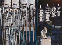 藏品(眩)的圖片