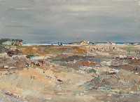 藏品(澎湖海濱)的圖片