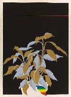 藏品(晚秋)的圖片