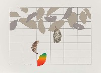 藏品(落葉知秋)的圖片