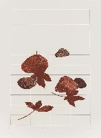 藏品(晚秋晨曦)的圖片