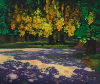 藏品(森林)的圖片