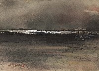 藏品(海灘)的圖片