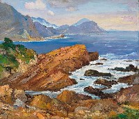 藏品(海岸)的圖片