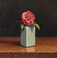 藏品(紅茶花)的圖片