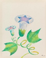 藏品(牽牛花)的圖片