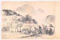 藏品(陽明山)的圖片