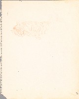 藏品(睡虎)的圖片