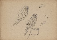 藏品((1)小鸚鵡；(2)獅)的圖片