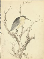 藏品((1)夜鷺；(2)黃金山貓、猴子)的圖片