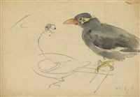 藏品((1)九冠鳥；(2)九冠鳥)的圖片