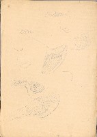 藏品(金雞)的圖片