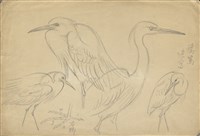 藏品((1)鷺鷥；(2)野鴨)的圖片