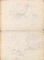 藏品(鷺鷥、 夜鷺雛鳥)的圖片