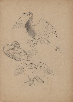 藏品(鵜)的圖片